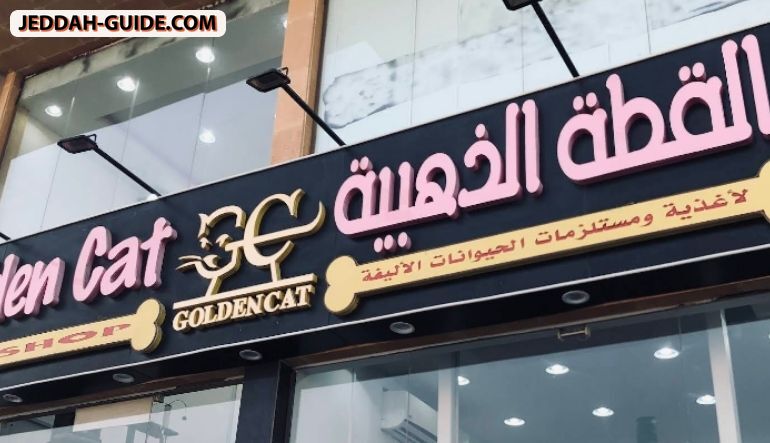 محل مدينة القطط للحيوانات الأليفة