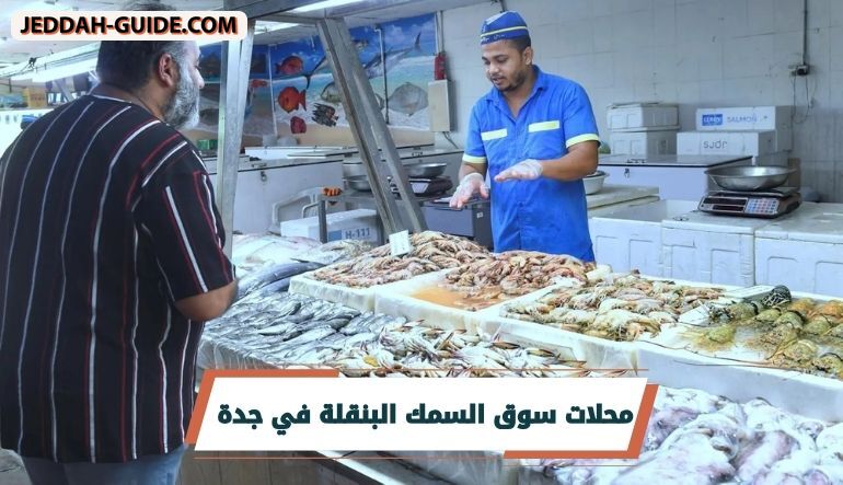 دليل سوق السمك البنقلة في جدة | اسماك طازجة يوميا